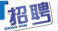 岱岳區(qū)政務服務中心招人啦！大專以上學歷，即日起報名