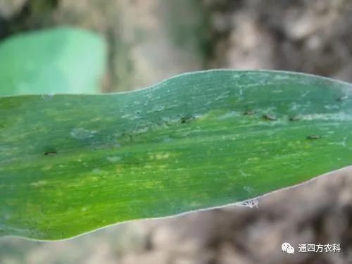 ���הQ����ô�k����ץ�o��Q��(hu��)Ӱ푮a(ch��n)��!!!